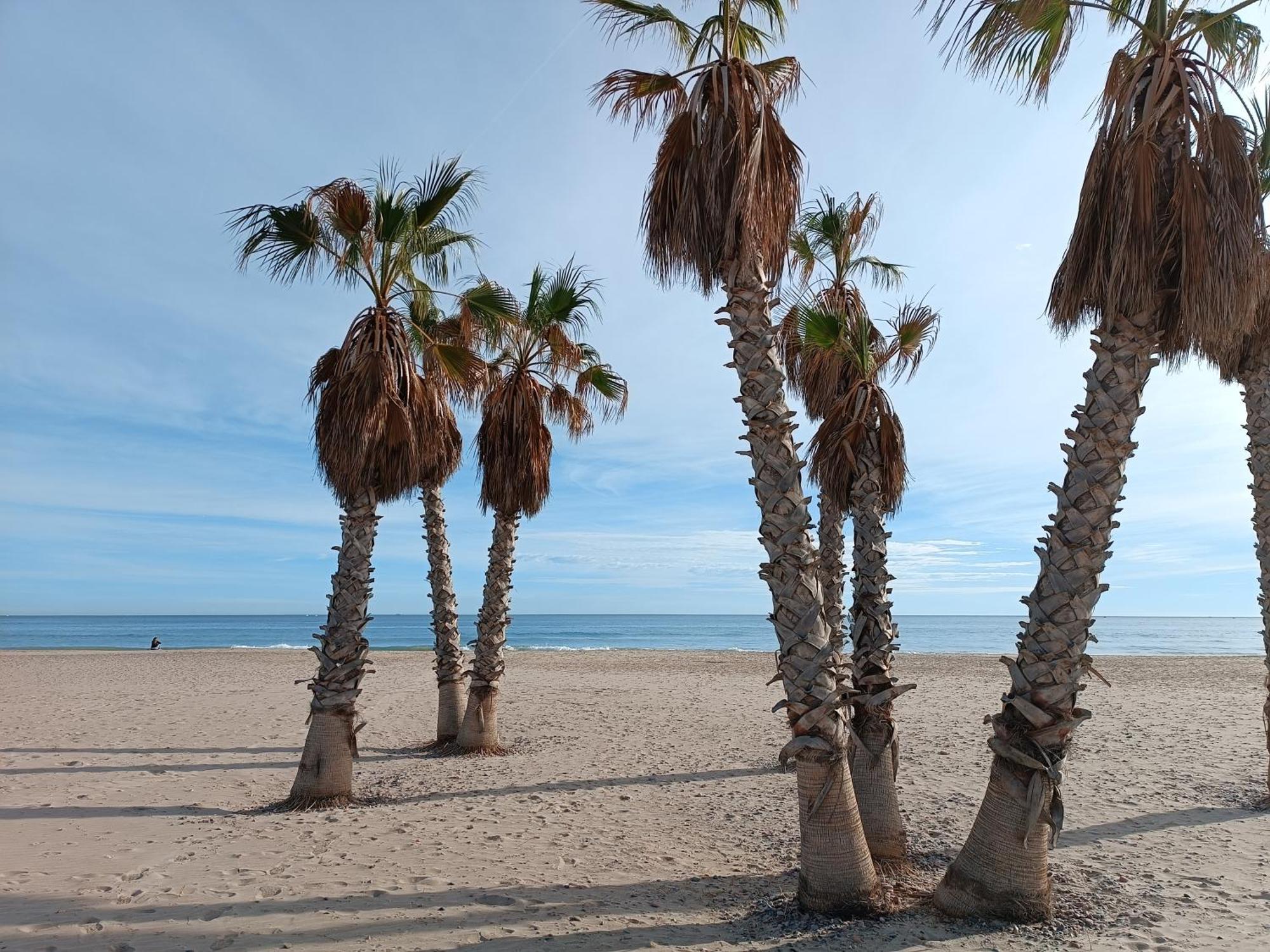 Playa Cannet 20 Km Valencia Piscina Tennis Canet d'En Berenguer Exteriör bild